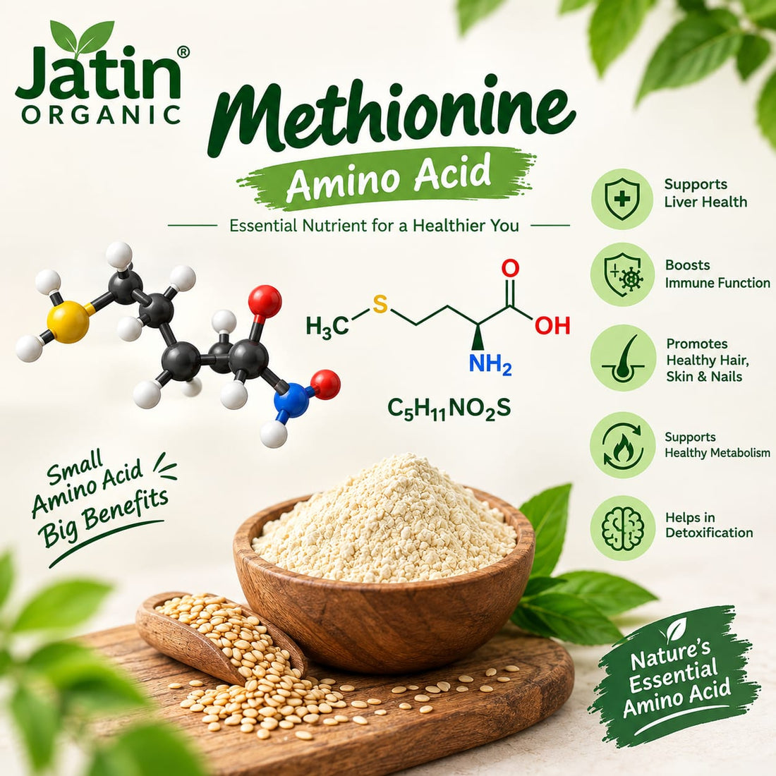 Methionine Amino Acid: Benefits & Food Sources